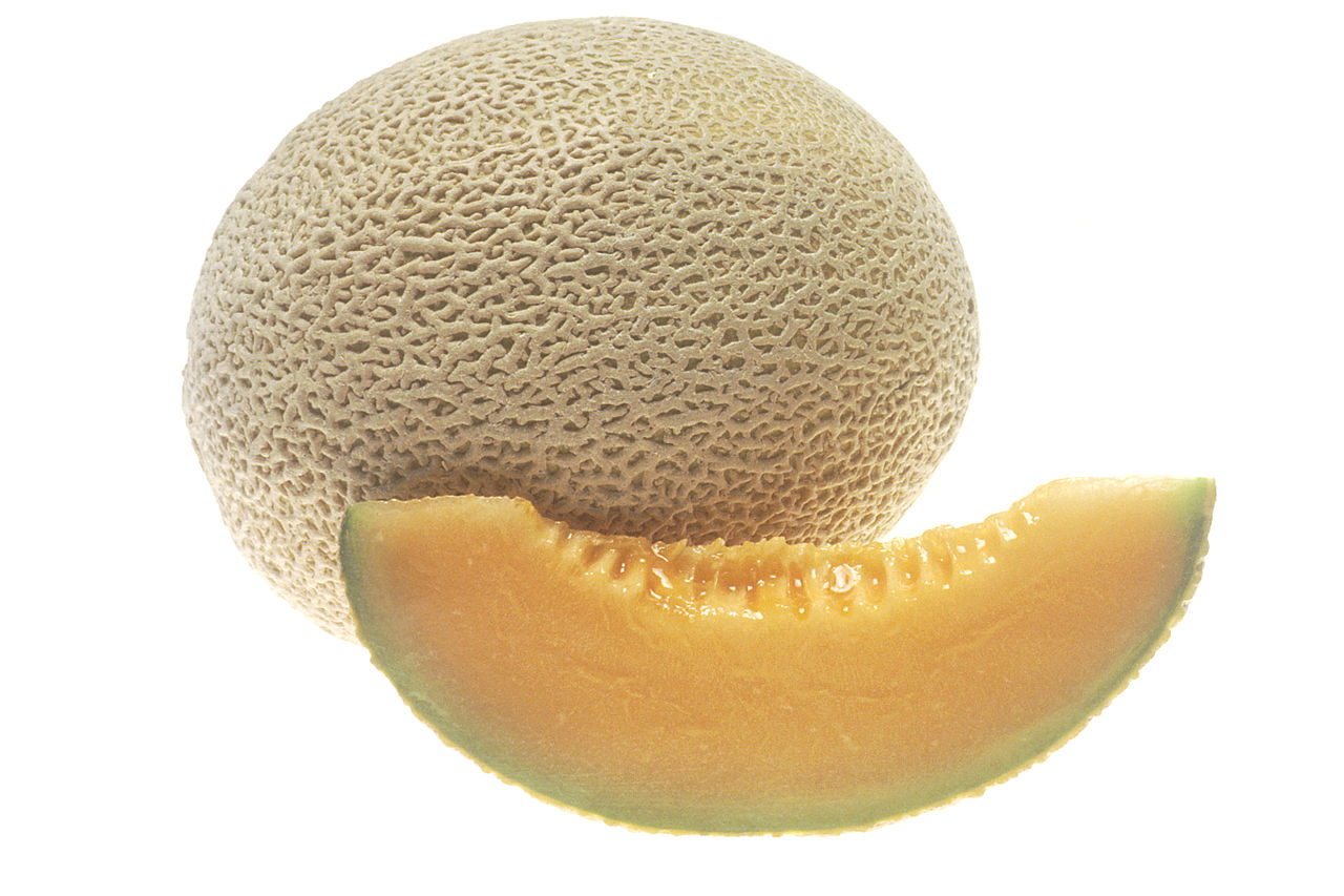 Foto Melon Untag 1