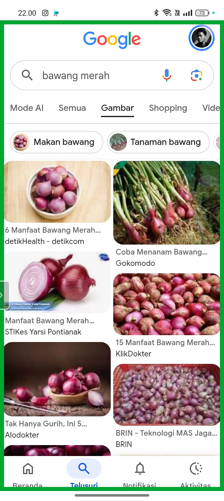 Foto bawang 1
